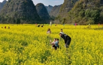 《中国地市报人》杂志推介万峰林：磅礴数千里，为西南奇胜~