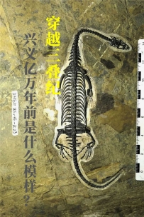 兴义世界地质公园② | 穿越三叠纪，兴义亿万年前是什么模样？