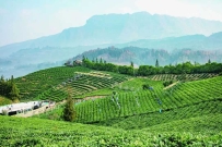 把“名优特产”这个市场做得更强大 || 三论把比较优势转化为产业优势经济优势